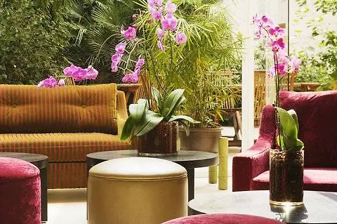 Orchidee Paris