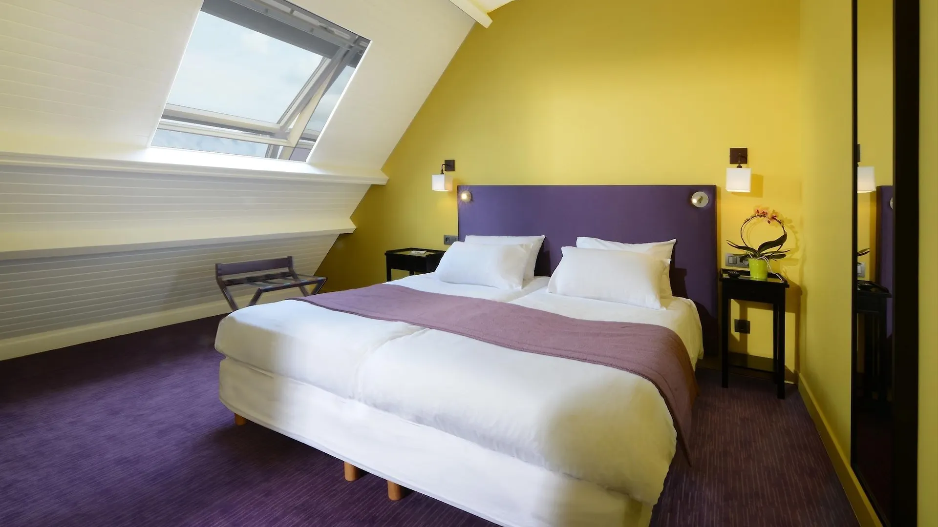 Orchidée Paris